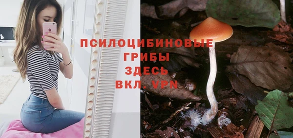 мяу мяу мука Балабаново