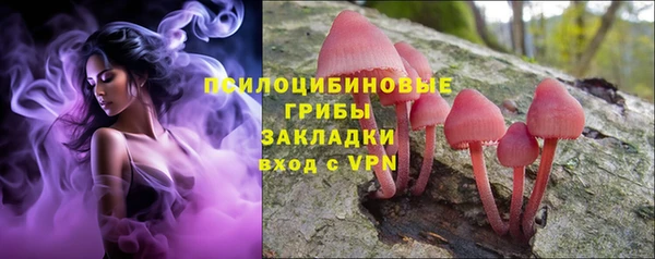 мдпв Баксан